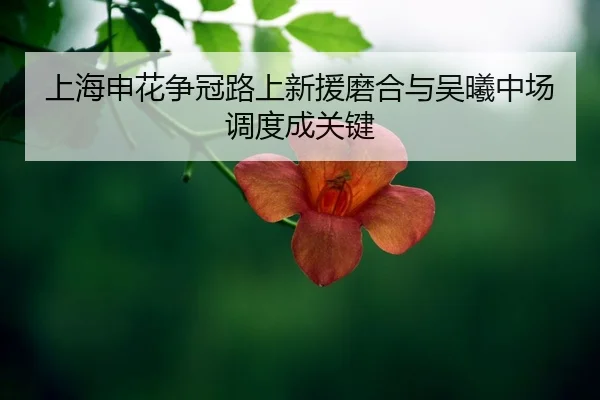shang-hai-shen-hua-zheng-guan-lu-shang-xin-yuan-mo-he-yu-wu-xi-zhong-chang-diao-du-cheng-guan-jian-2-178.jpg