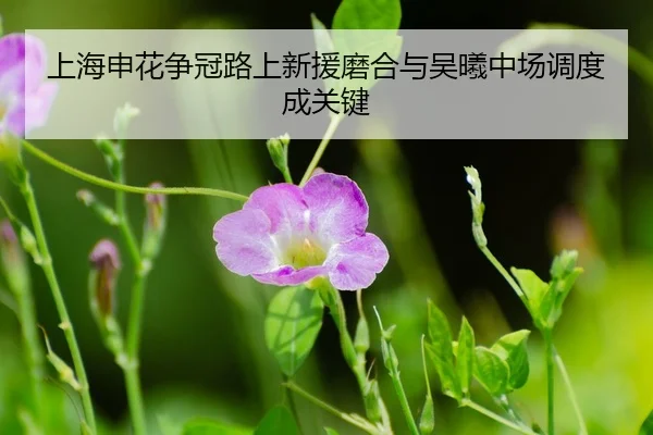 shang-hai-shen-hua-zheng-guan-lu-shang-xin-yuan-mo-he-yu-wu-xi-zhong-chang-diao-du-cheng-guan-jian-3-572.jpg