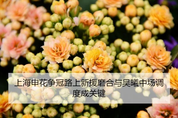 上海申花争冠路上新援磨合与吴曦中场调度成关键