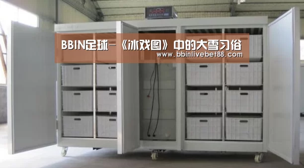 BBIN下载