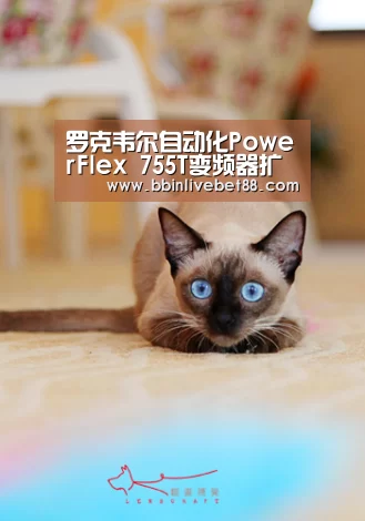 罗克韦尔自动化PowerFlex 755T变频器扩充Tota