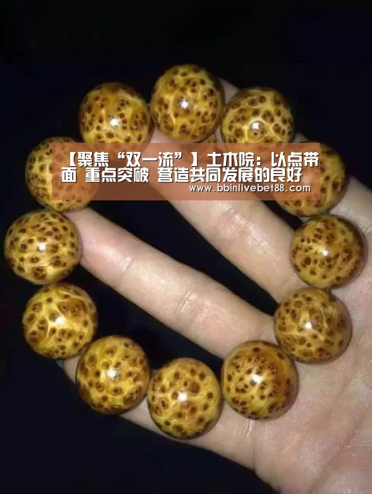 【聚焦“双一流”】土木院：以点带面 重点突破 营造共同发展的