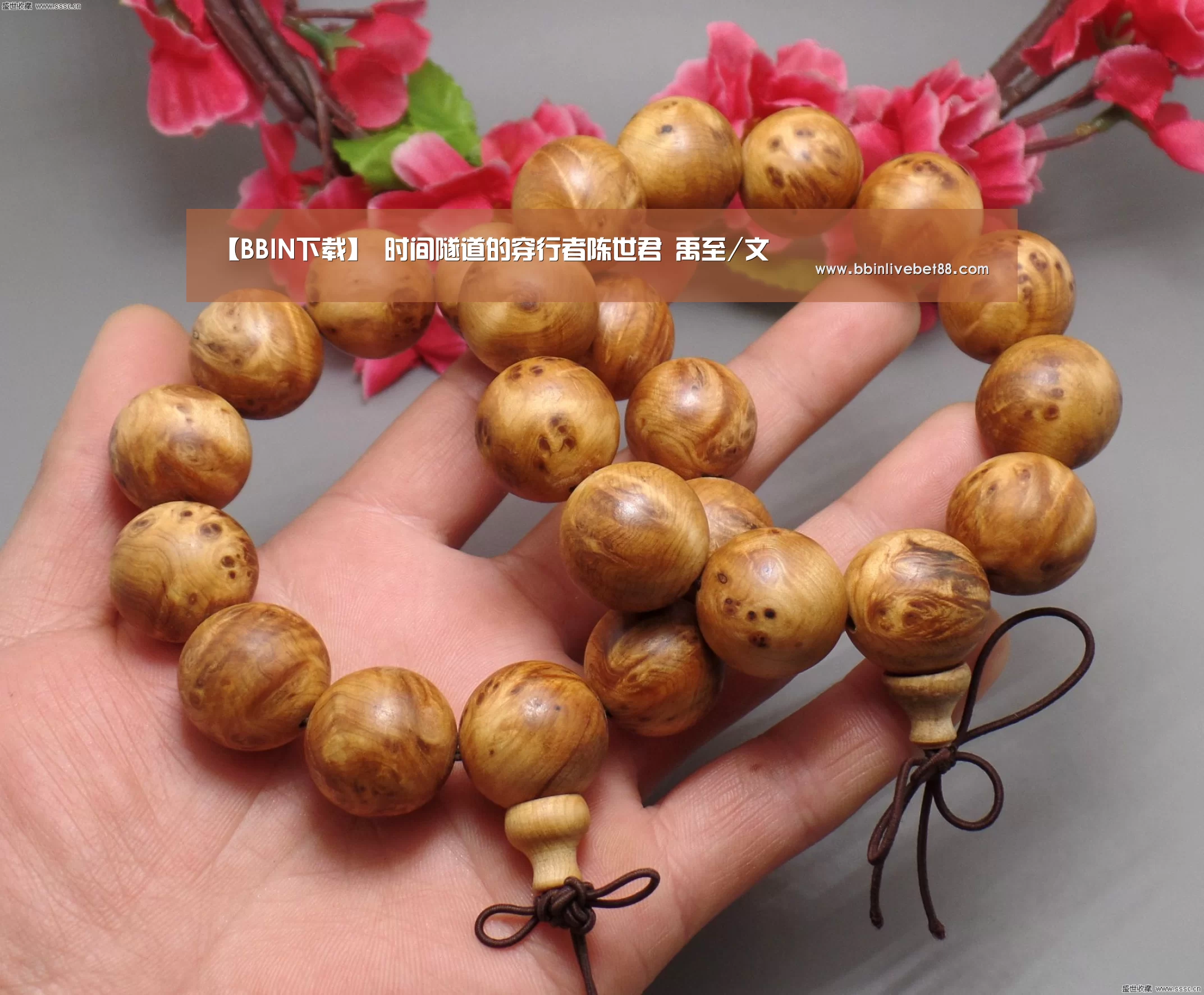 BBIN下载