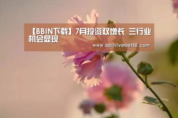 BBIN下载