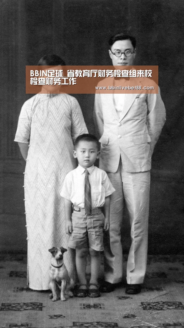 BBIN视讯