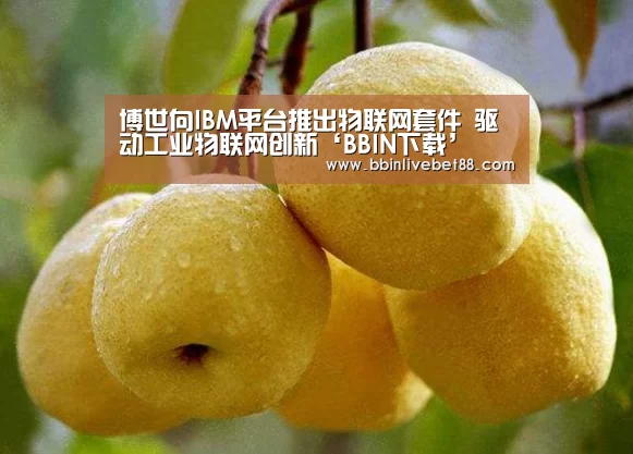 博世向IBM平台推出物联网套件 驱动工业物联网创新‘BBIN