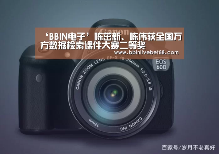 BBIN下载