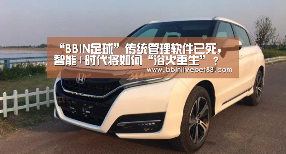 BBIN足球