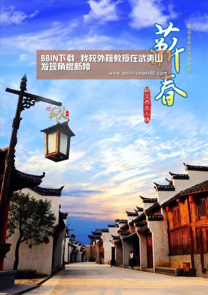 BBIN视讯