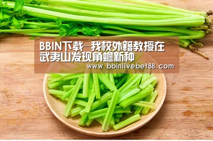 BBIN下载