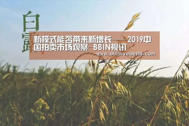 新模式能否带来新增长——2019中国拍卖市场观察-BBIN视