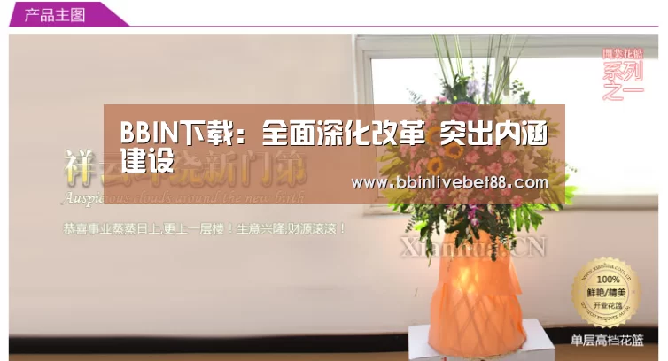 BBIN视讯